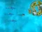 Spill Survive the Sharks online