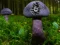 Spill Mushroom Forest Adventure online