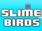 Spill Slime Birds online