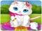 Spill Vet Cat Clinic online