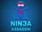 Spill Ninja Assassin online