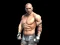 Spill Fight Arena Online online