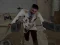 Spill Residence of Evil: Quarantine online