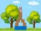 Spill Box Challenge online