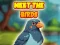 Spill Meet The Birds online