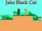 Spill Jake Black Cat online