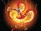 Spill Chinese Dragons Coloring online