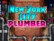 Spill Newyork City Plumber online