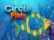 Spill Circle Fish online