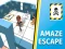 Spill Amaze Escape online