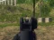 Spill Army Shooter online
