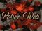 Spill Poker Web online