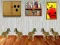 Spill Dog Room Escape online