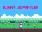 Spill Bunn's Adventure online