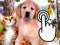Spill Pets Clicker online