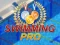Spill Swimming Pro online