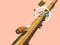 Spill Spiral Rush online