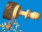 Spill Woodturning? online