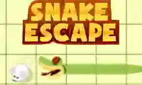 Spill Snake escape online