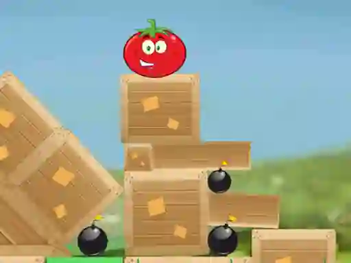 Spill Roll Tomato online