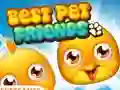 Spill Best Pet Friends online