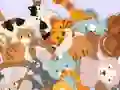 Spill Find The Kitty online