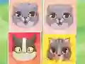 Spill Kitten Match online