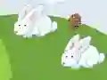 Spill Crazy Eggs online