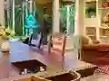 Spill Detective Cengaver: Lost artifact online
