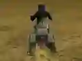 Spill Real Moto Stunts Challenge online