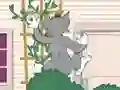 Spill Tom und Jerry: Wasserbomben Wahnsinn online