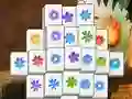 Spill Spring Flower online