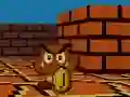 Spill Mario FPS online