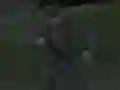 Spill Soviet Sniper online
