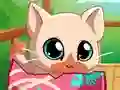 Spill My Pocket Pets Kitty Cat online