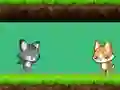 Spill Cat vs Dog online