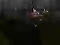 Spill Zombie Survival online