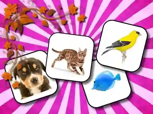 Spill Animals Memory online