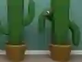 Spill Cactus Cube online