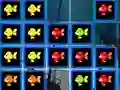 Spill 1010 Fish Blocks online