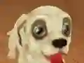 Spill Pet Run Adventure online