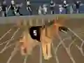 Spill Crazy Dog Racing Fever online