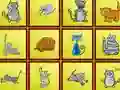 Spill Cats Findiff online