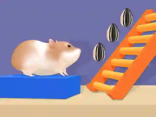 Spill Hamster Stack Maze online