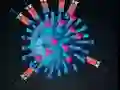 Spill Kill The Coronavirus online