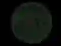 Spill Stickshot 2 online