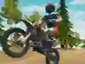 Spill Dirt Bike Enduro Racing online