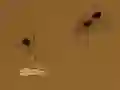 Spill Save the crumb online