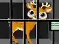 Spill Animals Rescue online