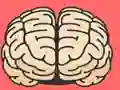 Spill Brain Test online